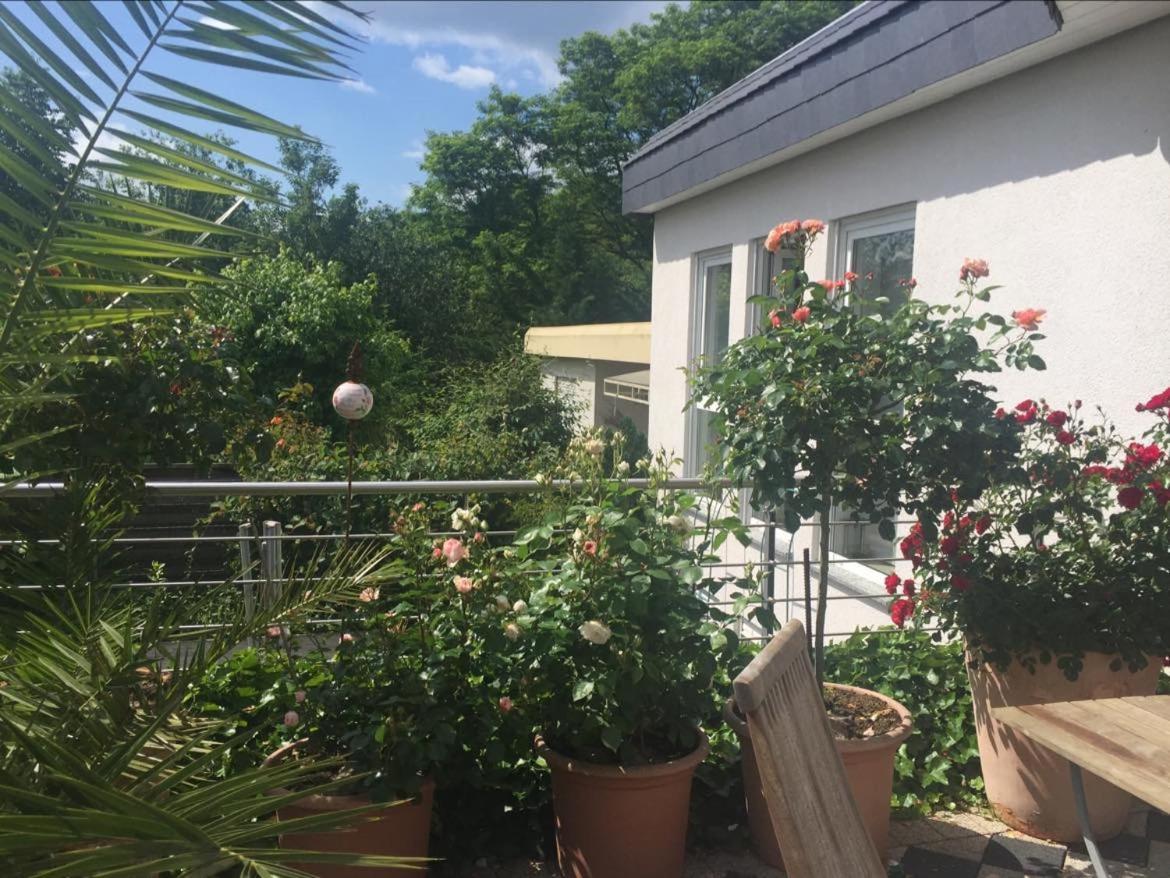 Bei Annemarie Appartement *